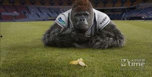 大明猩拍摄花絮,拍摄花絮中的趣味瞬间