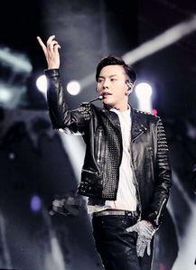 陈伟霆娱乐圈同人文,娱乐圈的璀璨星辰，深情演绎爱恋传奇