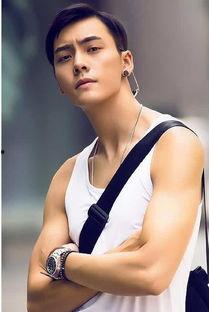 陈伟霆娱乐圈同人文,娱乐圈的璀璨星辰,深情演绎爱恋传奇