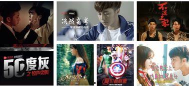 尖叫制片厂演员表,揭秘演员阵容，惊悚巨制背后的精彩演绎